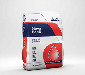 Calcium Liquid – Khoáng cải tạo đất