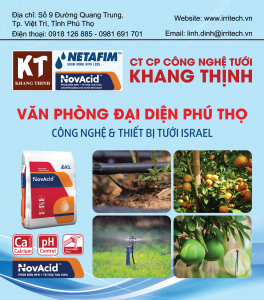 VĂN PHÒNG ĐẠI DIỆN PHÚ THỌ