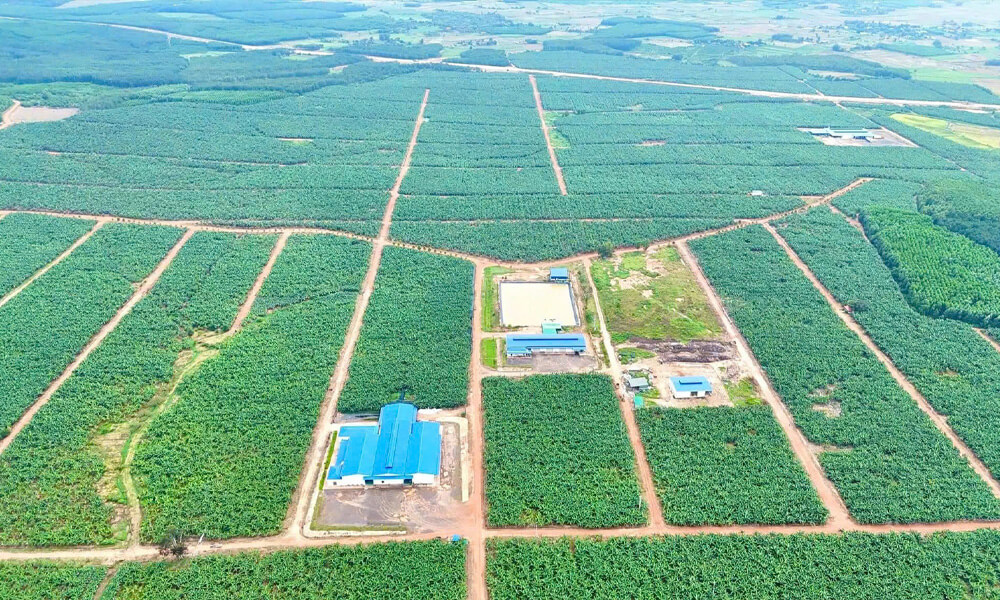 Hình ảnh dự án
