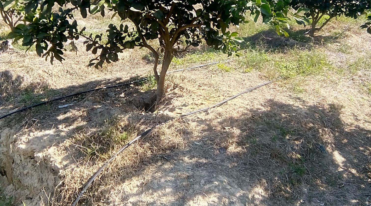 Hình ảnh dự án