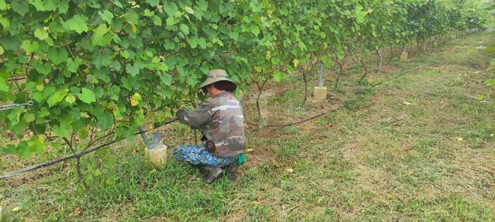 Hình ảnh dự án