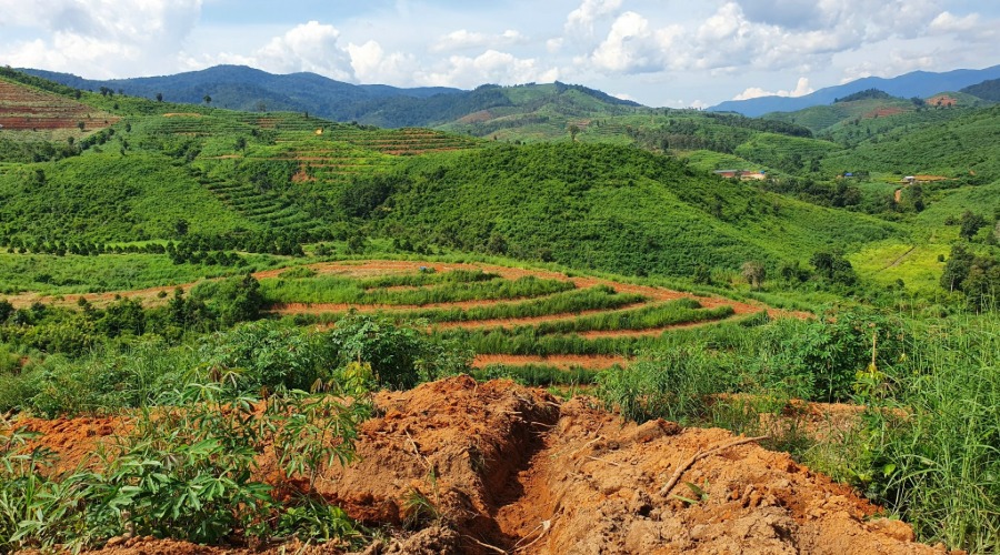 Hình ảnh dự án
