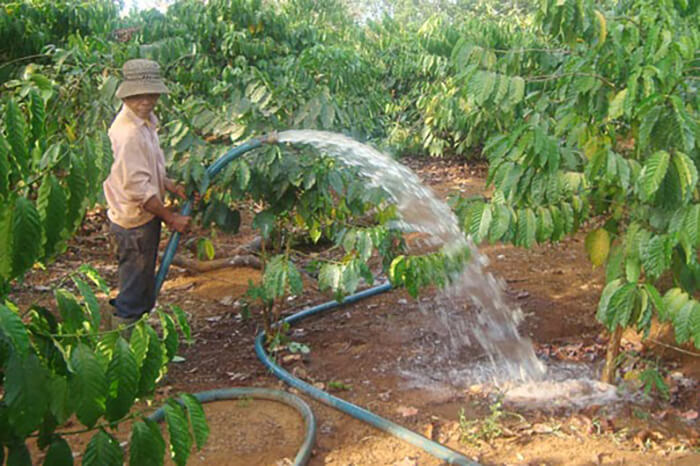 Phương pháp tưới dí truyền thống