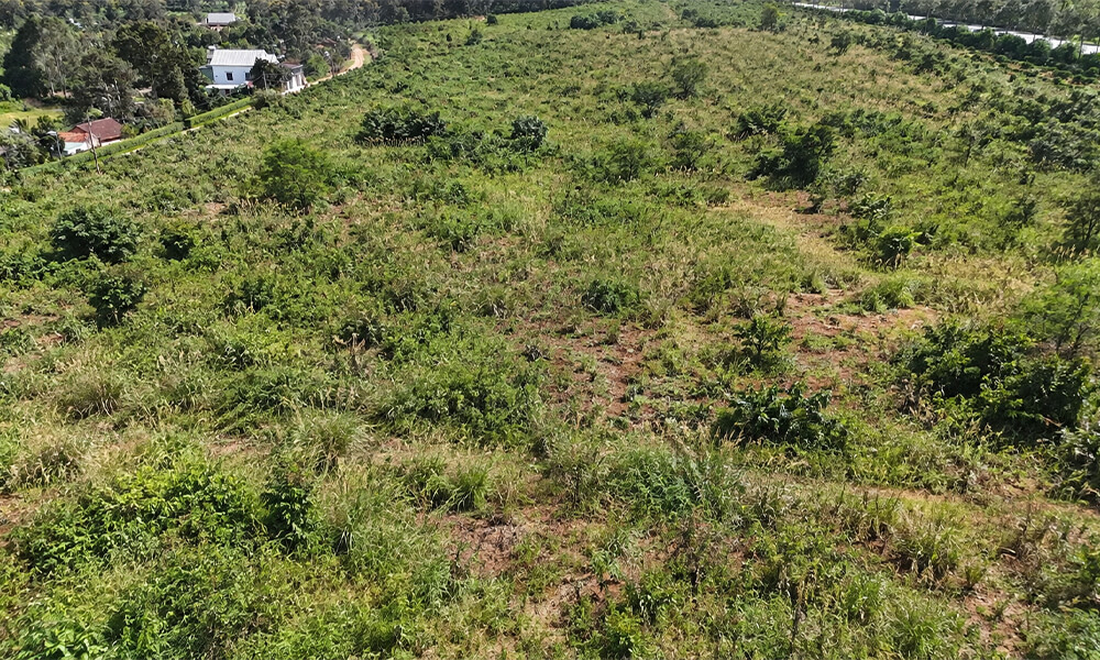 https://irritech.onweb.asia/wp-content/uploads/2026/09/hien-trang-ban-dau-75ha-cf-1.jpg