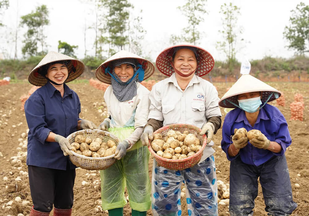 Hình ảnh dự án