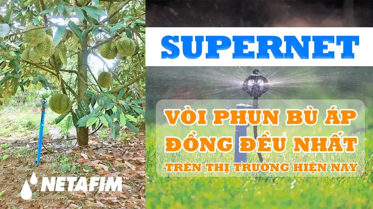 Video giới thiệu sản phẩm