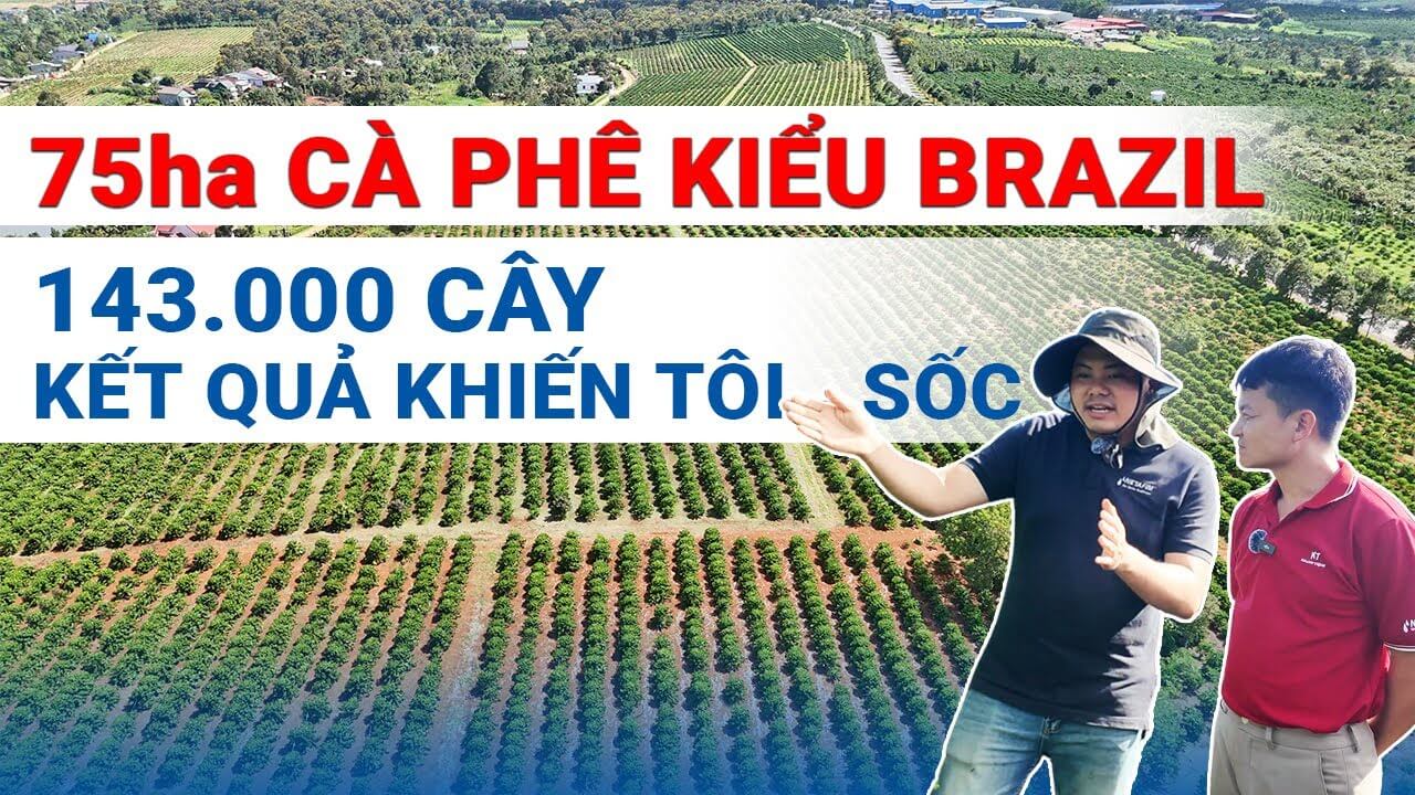 Video giới thiệu dự án