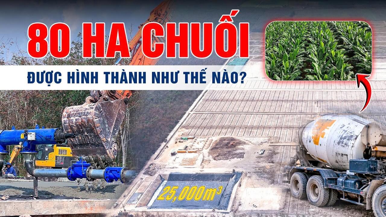 Video giới thiệu dự án