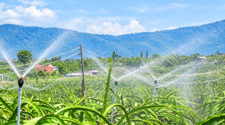 Cách lắp đặt hệ thống tưới phun mưa