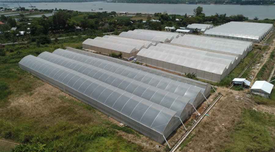 Hình ảnh dự án