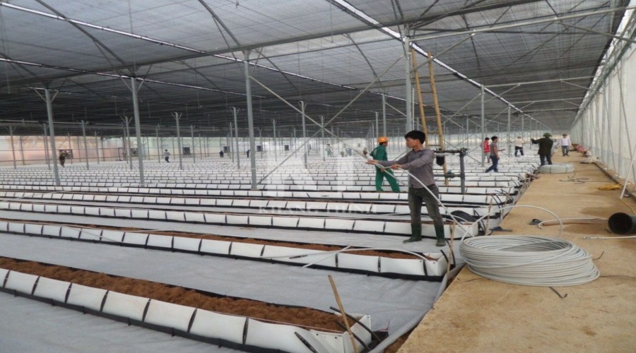 Hình ảnh dự án