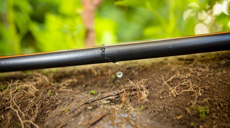 Giá bán hệ thống tưới nhỏ giọt