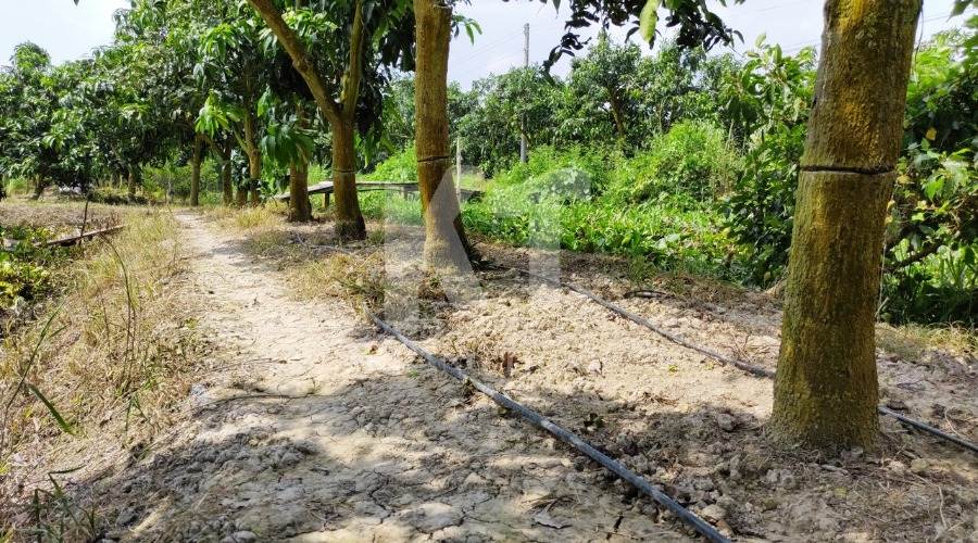 Hình ảnh dự án