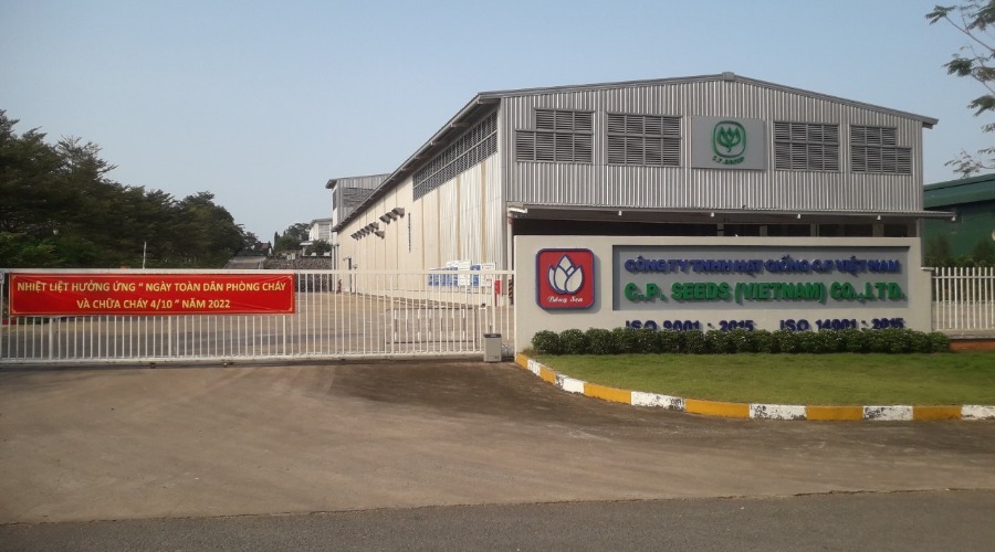 Hình ảnh dự án
